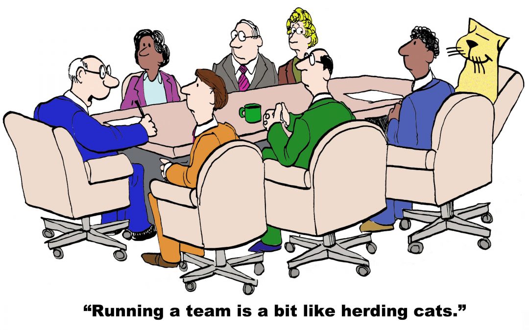 Running a team is like herding cats!